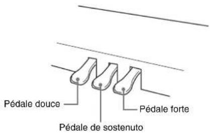 Pédale douce Pédale de sostenuto Pédale forte