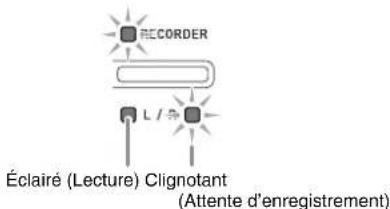 RECORDER L / Éclairé (Lecture) Clignotant (Attente d'enregistrement)