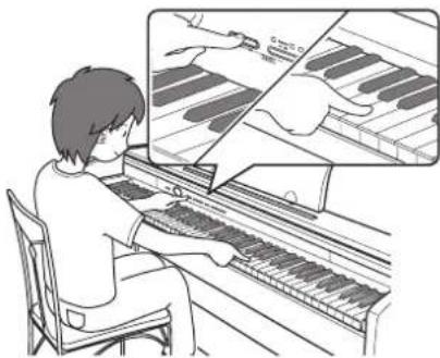 CASIO Celviano AP-250 - Bouton FUNCTION - 1