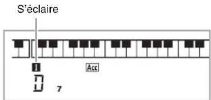 S'éclaire Acc 7