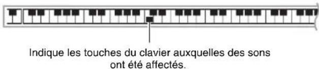 Indique les touches du clavier auxquelles des sons ont été affectés.