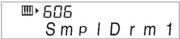 606 SmpIDrm1