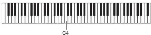 C4