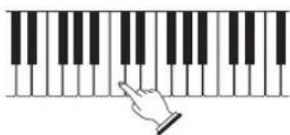 CASIO CTK-4200 - Essayez de jouer quelque chose sur le clavier. - 1