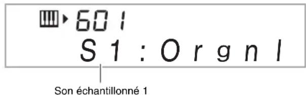 601 S 1 : Org n l Son échantillonné 1