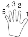 CASIO LK-125 - Carte des accords doigtés (FINGERED) - 2