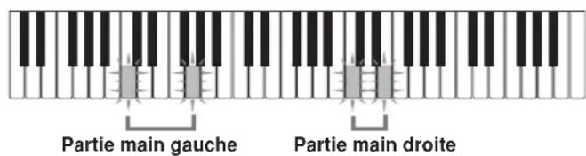 Partie main gauche Partie main droite