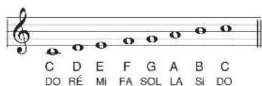 CASIO LK-125 - Trans - 3
