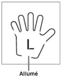 L Allumé