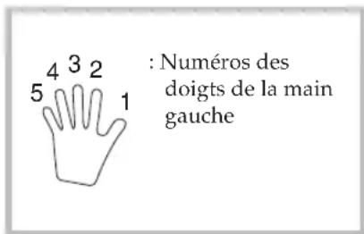 : Numéros des doigts de la main gauche