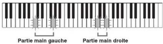 Partie main gauche Partie main droite