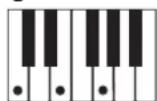 CASIO LK-44 - Utilisation du doigté standard - 1