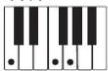 CASIO LK-44 - Utilisation du doigté standard - 5