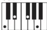 CASIO LK-44 - Utilisation du doigté standard - 15