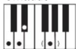 CASIO LK-44 - Utilisation du doigté standard - 13