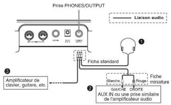 Prise PHONES/OUTPUT Liaison audio Fiche standard Blanche Rouge Fiche miniature GAUCHE DROITE AUX IN ou une prise similaire de l'amplificateur audio
