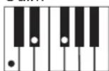 CASIO LK-44 - Utilisation du doigté standard - 3