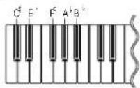 CASIO SA-67 - Display Indicators - 1