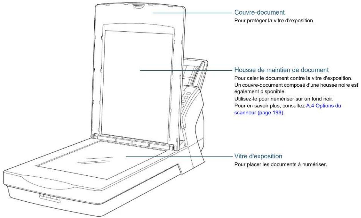Couvre-document Pour protéger la vitre d'exposition. Housse de maintien de document Pour caler le document contre la vitre d'exposition. Un couvre-document composé d'une housse noire est également disponible. Utilisez-le pour numériser sur un fond noir. Pour en savoir plus, consultez A.4 Options du scanneur (page 198). Vitre d'exposition Pour placer les documents à numériser.