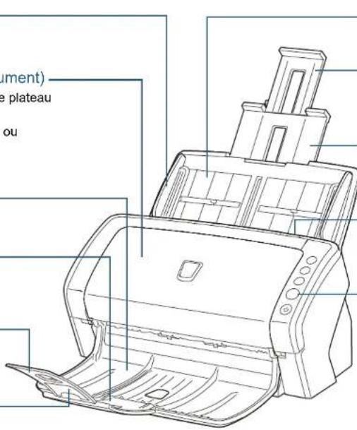 document) e plateau ou