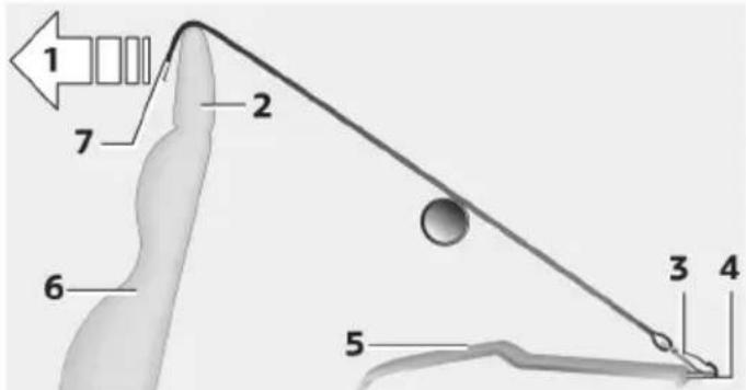 1 2 7 6 5 3 4