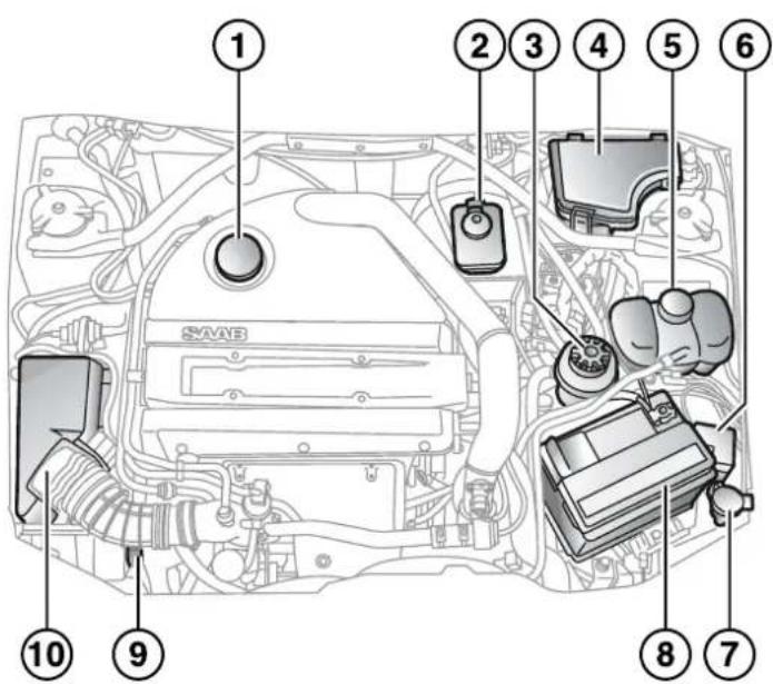 Labeled diagram of a car engine bay with numbered components for identification