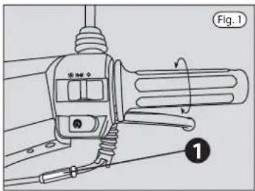 Fig. 1 ①