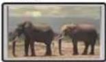 OPPO BDP-103 - Determine the Display Aspect Ratio - 6