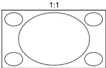 Simple geometric diagram with an oval shape and four surrounding circles, labeled '1:1' at the top (no text or symbols within the shape itself)
