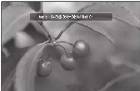 Audio 1/4 EN$ Dolby Digital Multi CH