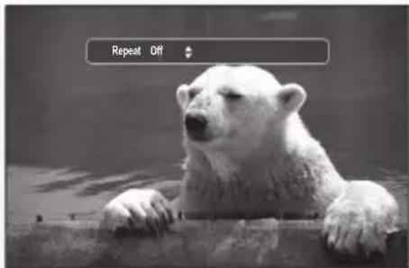Repeat Off