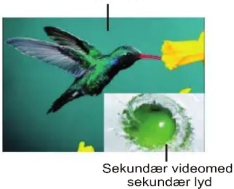 Sekundær videomed sekundær lyd