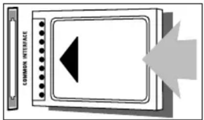 COMMON INTERFACE