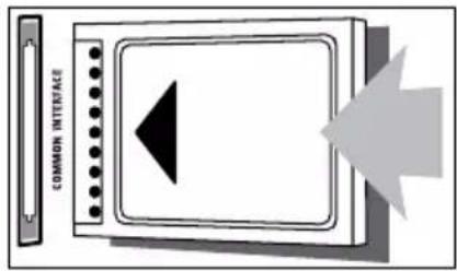 COMMON INTERFACE