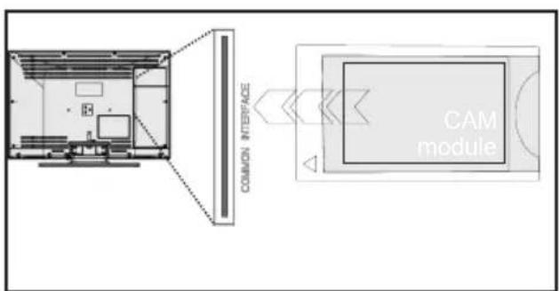 COMMON INTERFACE CAM module