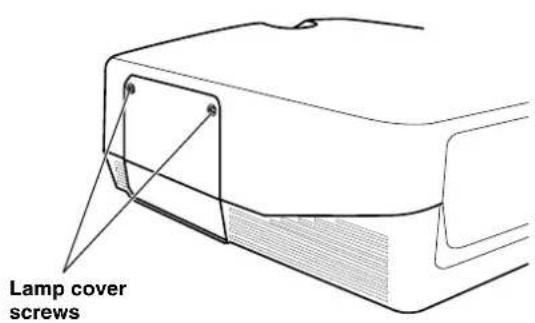 Lamp cover screws