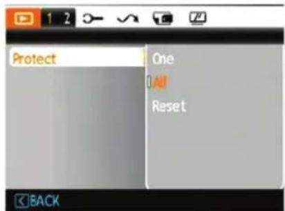 Protect One All Reset BACK