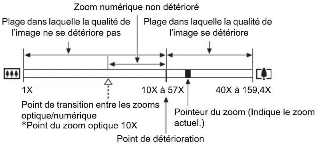 Zoom numérique non détérioré Plage dans laquelle la qualité de l'image ne se détériore pas Plage dans laquelle la qualité de l'image se détériore 1X 10X à 57X 40X à 159,4X Point de transition entre les zooms optique/numérique *Point du zoom optique 10X Point de détérioration Pointeur du zoom (Indique le zoom actuel.)