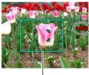 CASIO Exilim EX-FH100 - 3.Quand le cadre sur l'écran de contrôle devient vert, appuyez à fond sur le déclencheur. - 1