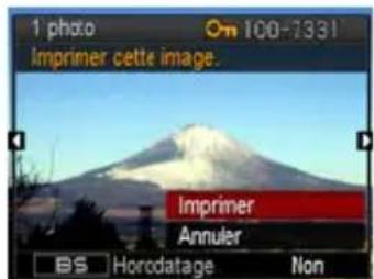 1 photo Imprimer cette image. Imprimer Annuler BS Horodatage Non