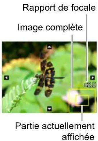 Rapport de focale Image complète ×2.0 Partie actuellement affichée