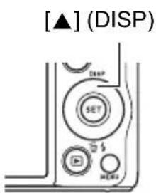 CASIO Exilim EX-ZR20 - Affichage ou masquage des informations (Info) - 1
