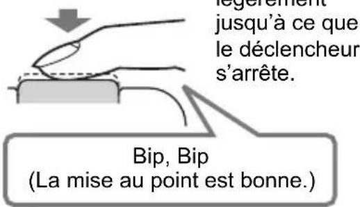 Bip, Bip (jusqu'à ce que le déclencheur s'arrête. La mise au point est bonne.)