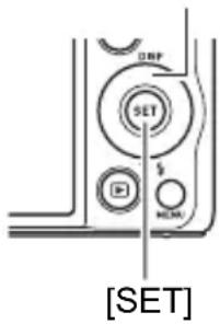 CASIO Exilim EX-ZR20 - Utilisation du panneau de commande - 1