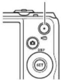 DBF SET