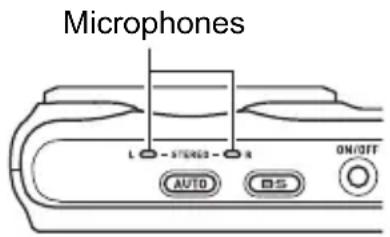 Microphones L STEREO R ON/OFF AUTO BS