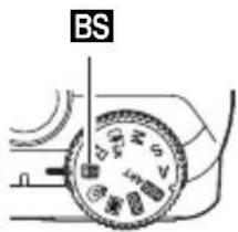 BS