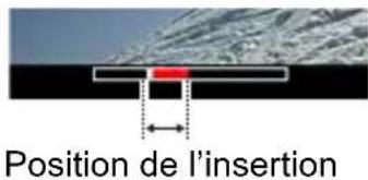 Position de l'insertion