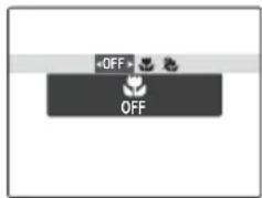 +OFF OFF