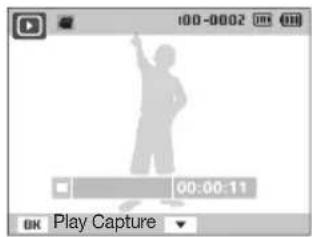100-0002 00:00:11 OK Play Capture